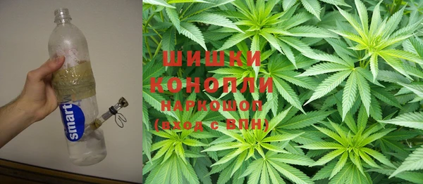 ПСИЛОЦИБИНОВЫЕ ГРИБЫ Алзамай