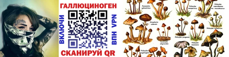 Псилоцибиновые грибы прущие грибы  Чита 